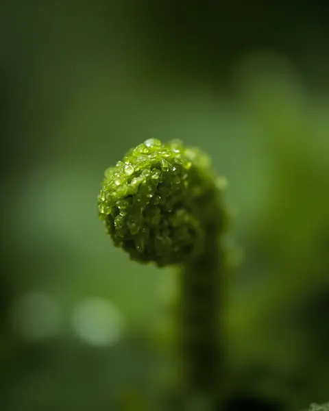 Hyperreal wallpaper — sample